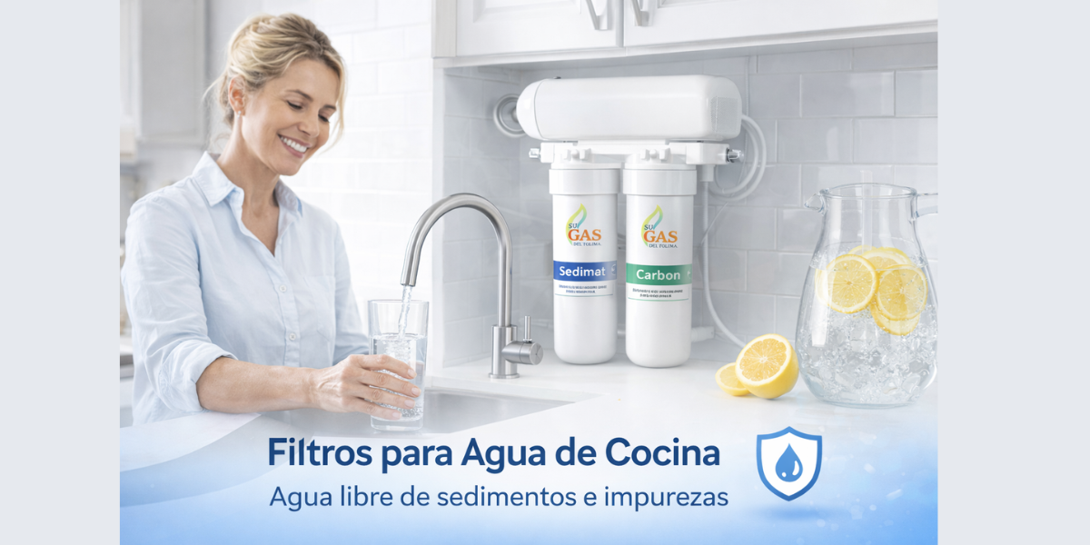 Inicio copia de copia de copia de copia de diseño sin título