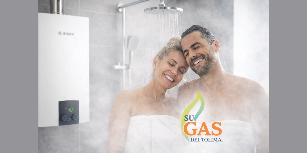 Inicio copia de copia de copia de diseño sin título