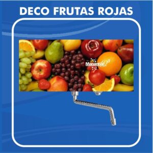 planta de vidrio deco frutos rojos